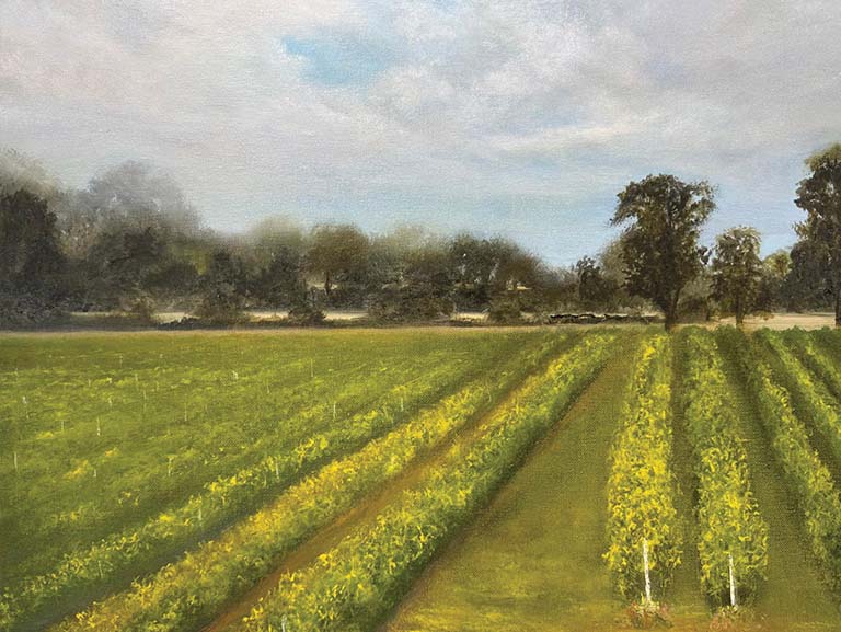 Ventures amongst the Vines